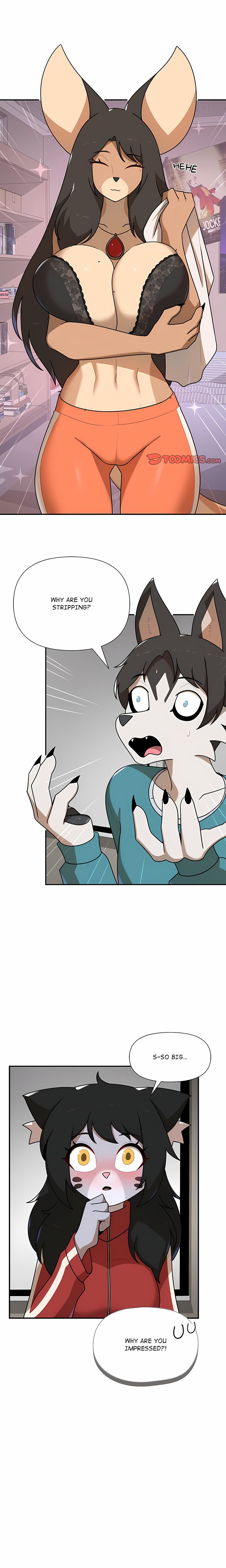 Paws on Campus Chapter 37 - Page 1